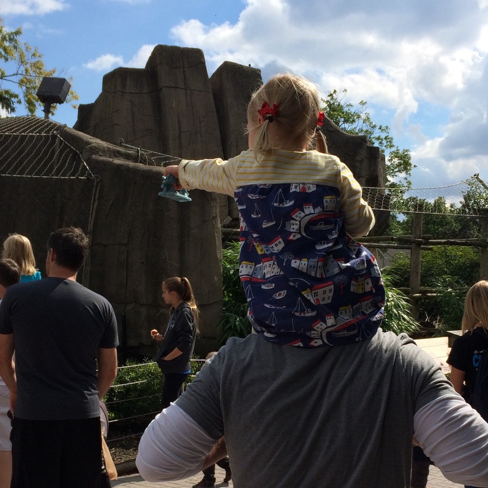 Baby Boden tunic dress vguc